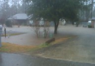 Flood Photo 2